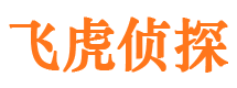 东胜市调查公司